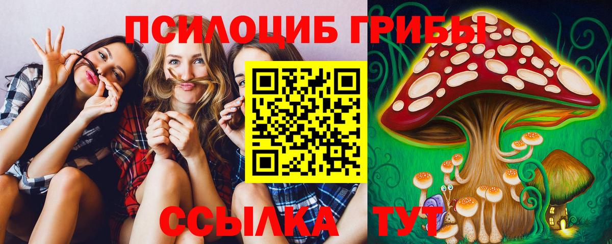 Галлюциногенные грибы Psilocybine cubensis  Вход с VPN  Гатчина 